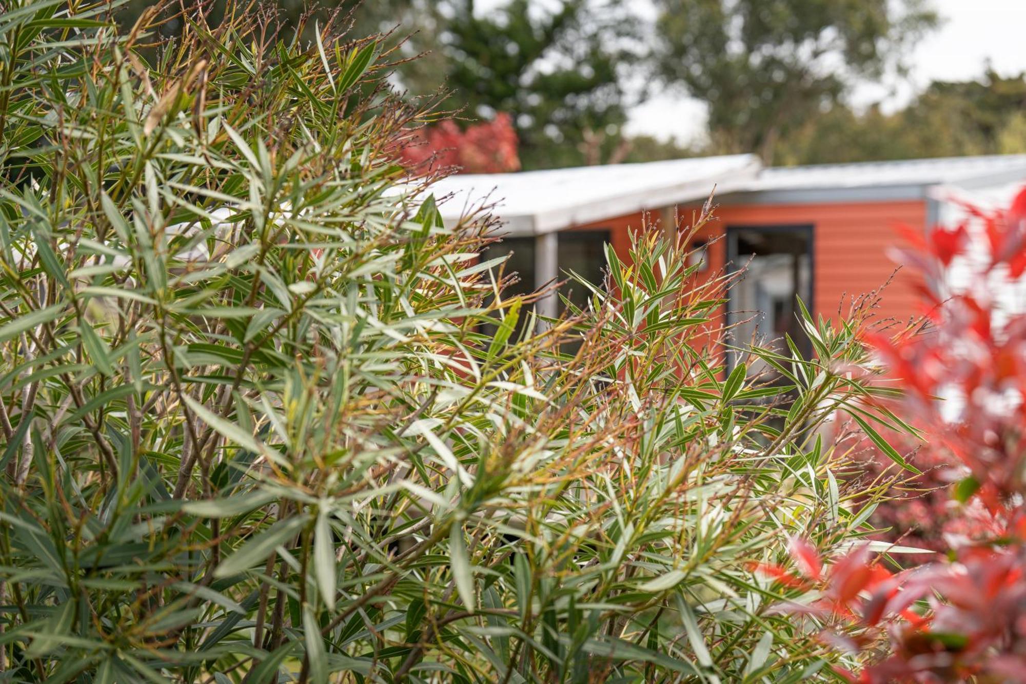 Camping Antioche D'Oleron La Brée-les-Bains Exterior foto